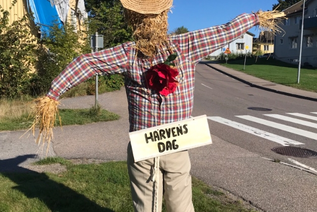 En halmfigur med en harvens dag skylt