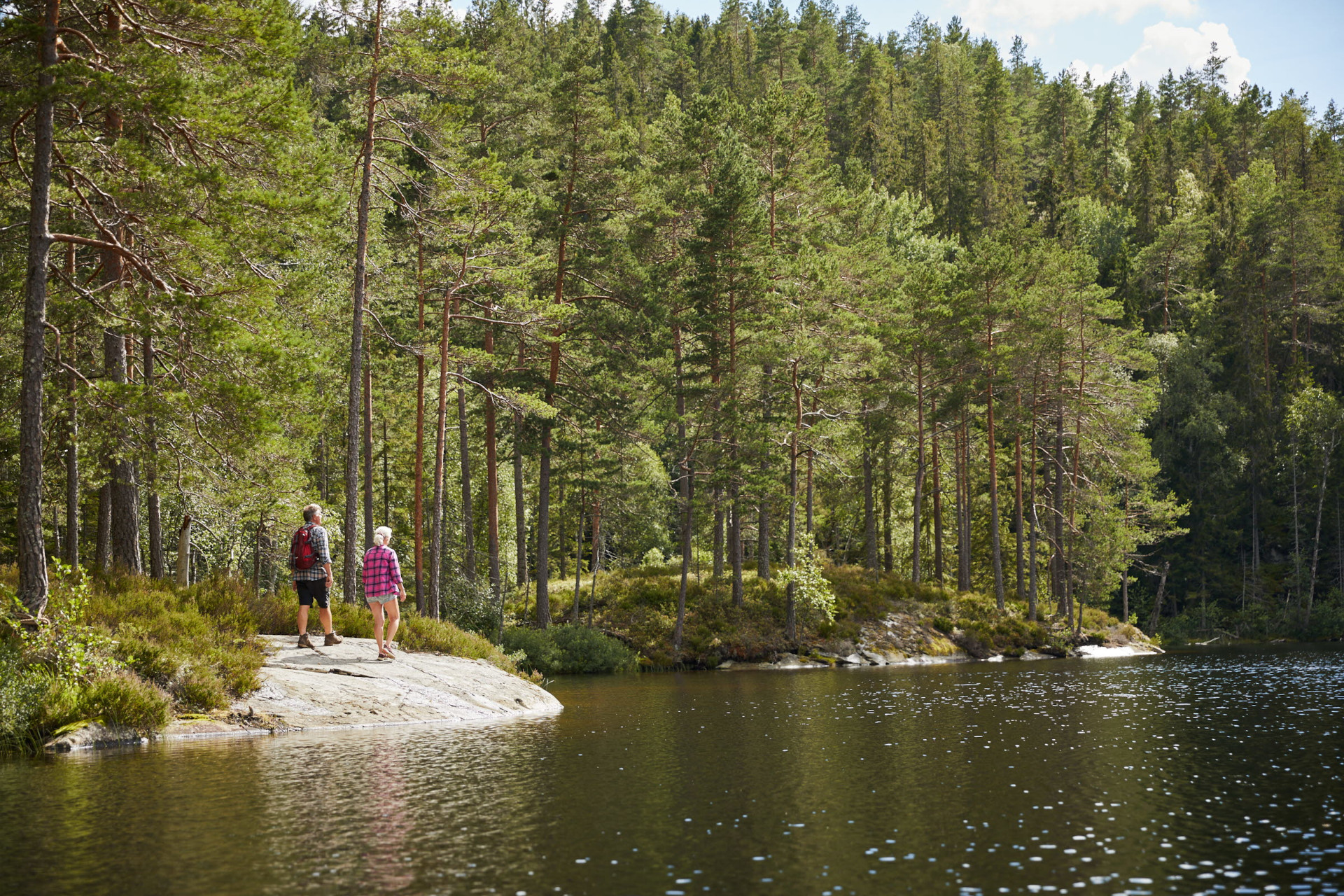 Ett par vandrar i skogen nära en insjö